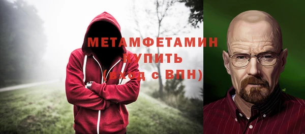 стаф Инта