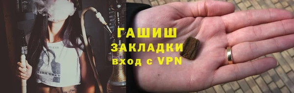 стаф Инта