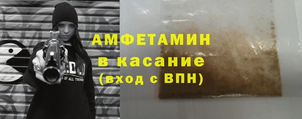 стаф Инта