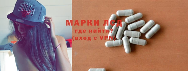 стаф Инта
