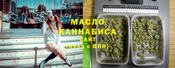 стаф Инта