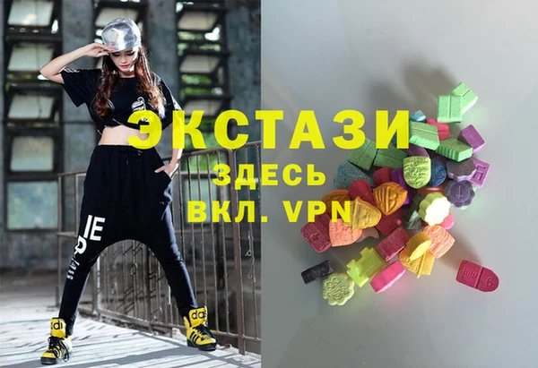 стаф Инта