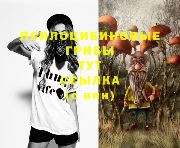 стаф Инта