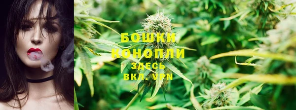 стаф Инта