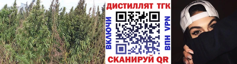 ТГК Wax Купить Грайворон