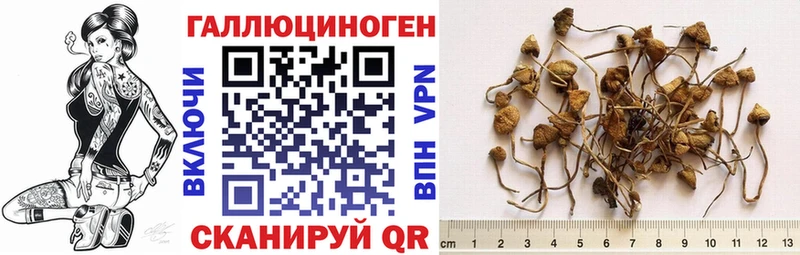 Купить где  Грайворон  Галлюциногенные грибы мухоморы 