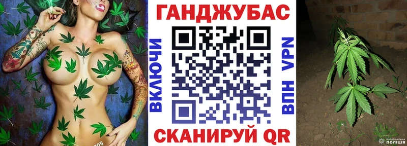 Купить закладки  Грайворон  Каннабис сатива 